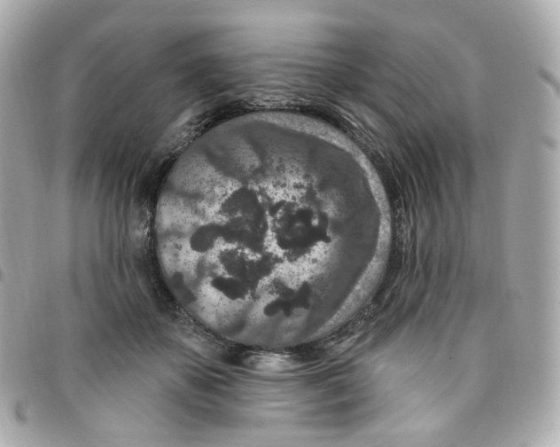 X0000095900507200802011131