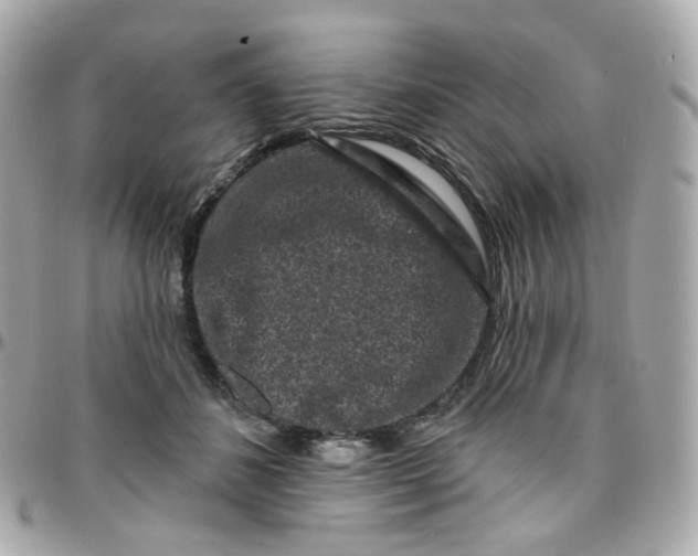 X0000095900508200802011131