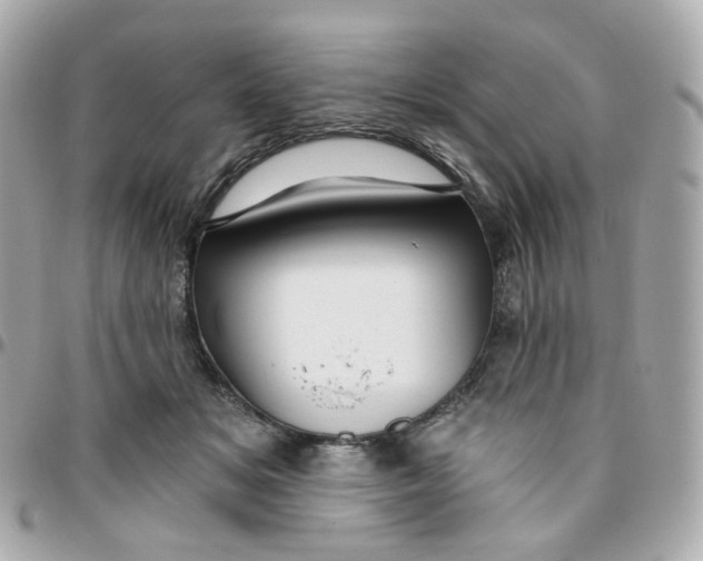 X0000095900509200802011131