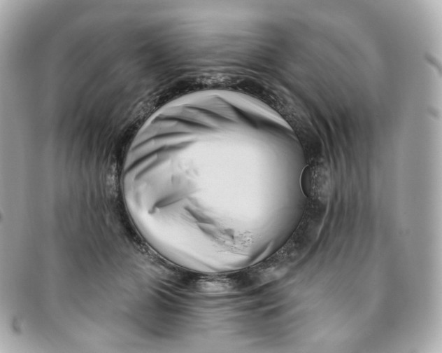 X0000095900510200802011131