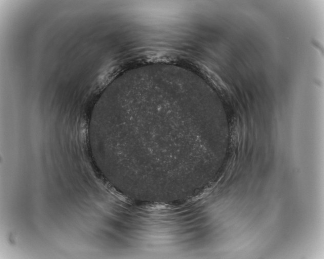 X0000095900513200802011131