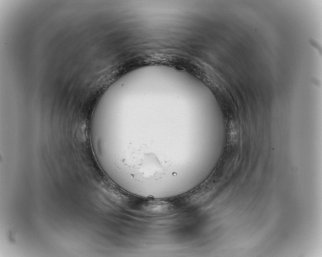 X0000095900514200802011131