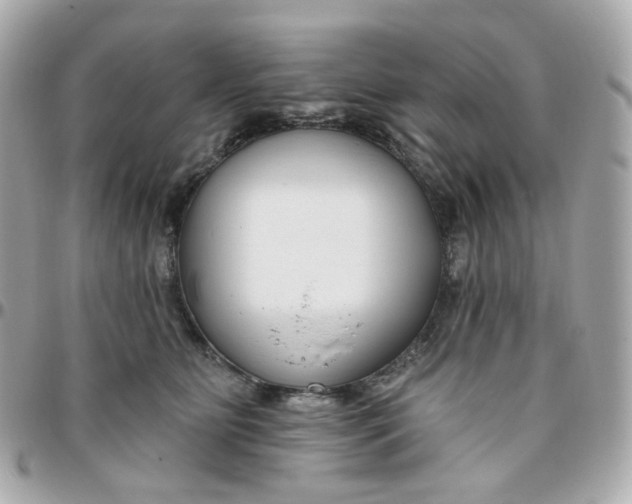 X0000095900515200802011131