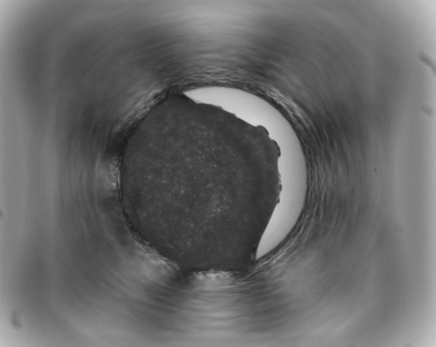 X0000095900517200802011131