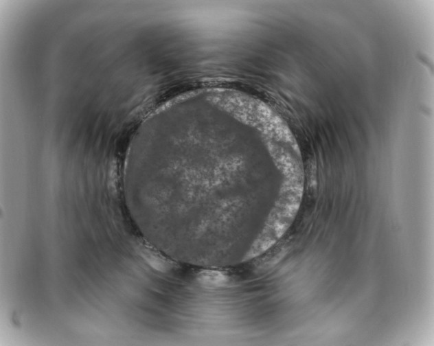 X0000095900519200802011131