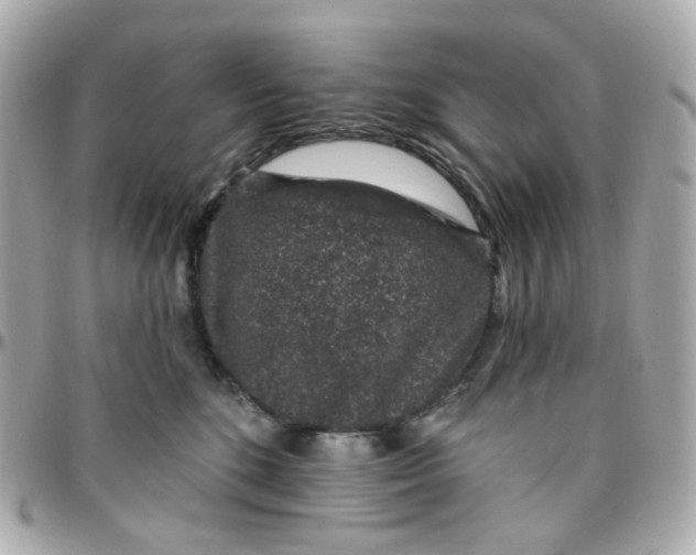 X0000095900520200802011131