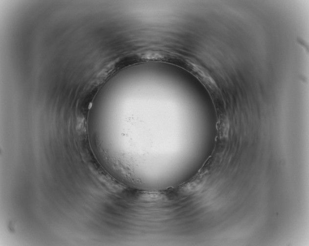 X0000095900521200802011131