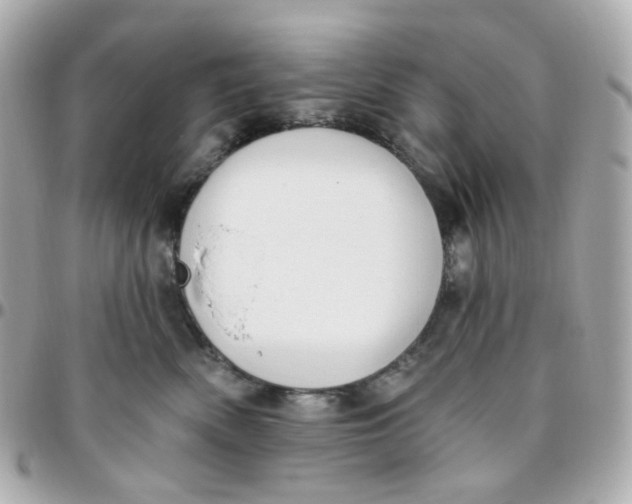 X0000095900522200802011131