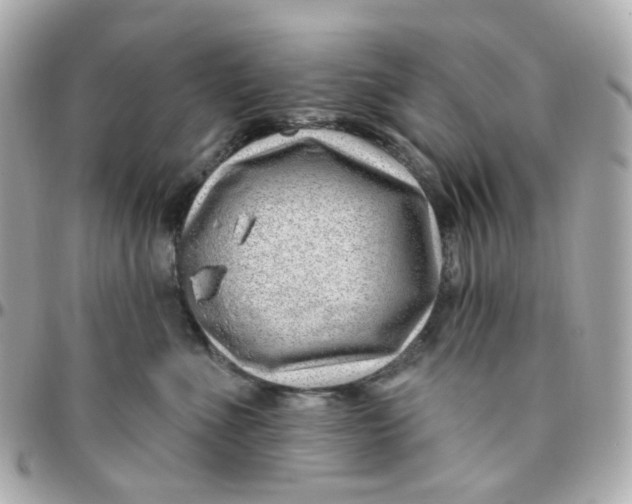 X0000095900523200802011131