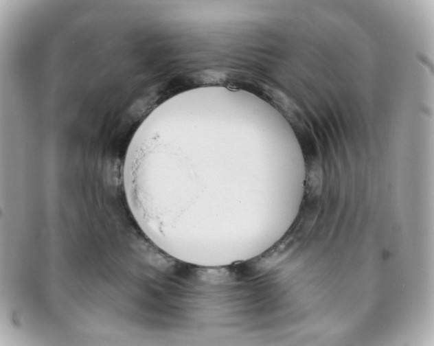 X0000095900525200802011131