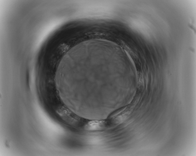 X0000095900526200802011131