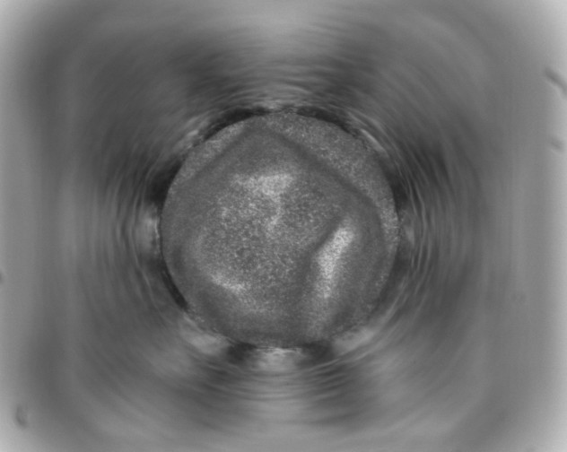 X0000095900527200802011131