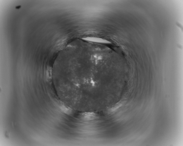 X0000095900528200802011131