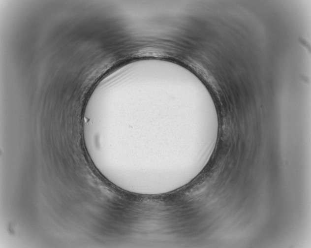 X0000095900529200802011130