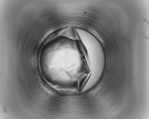 X0000095900530200802011130