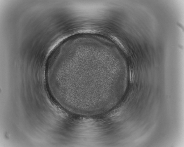 X0000095900531200802011130