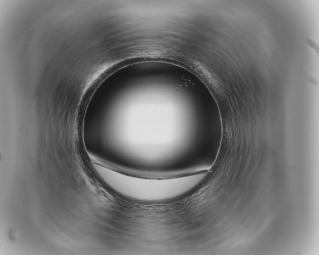 X0000095900532200802011130