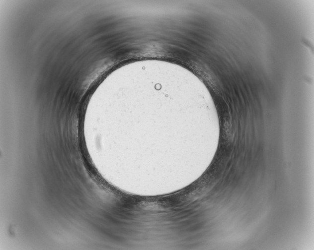 X0000095900534200802011130