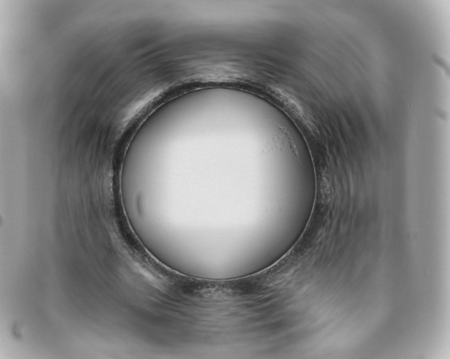 X0000095900535200802011130