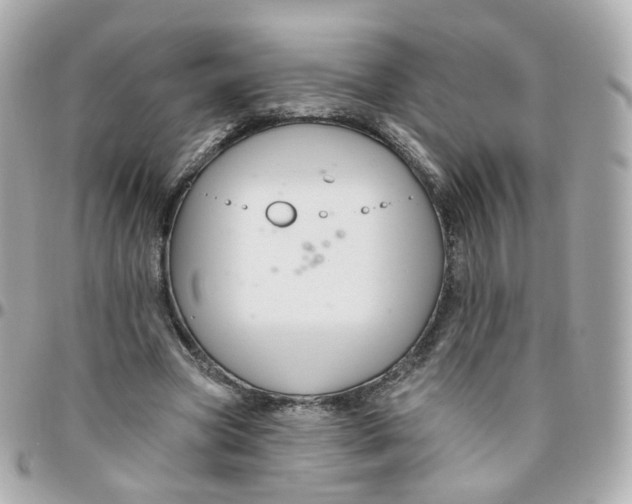 X0000095900537200802011130