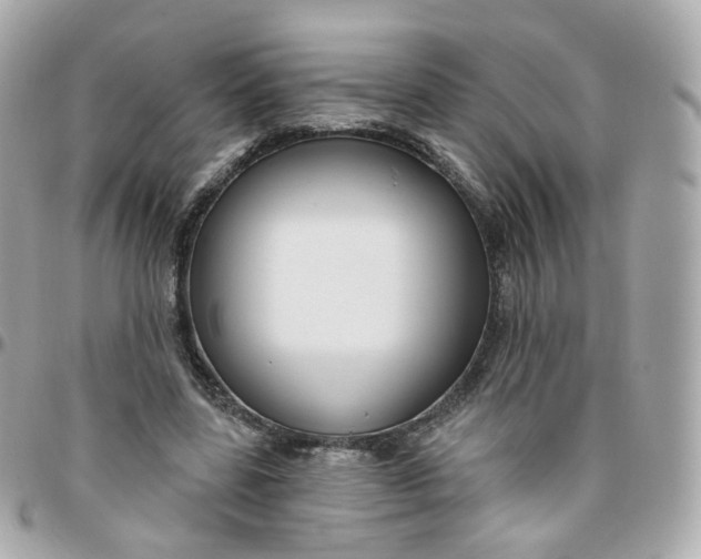 X0000095900539200802011130