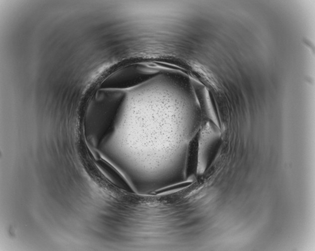 X0000095900540200802011130