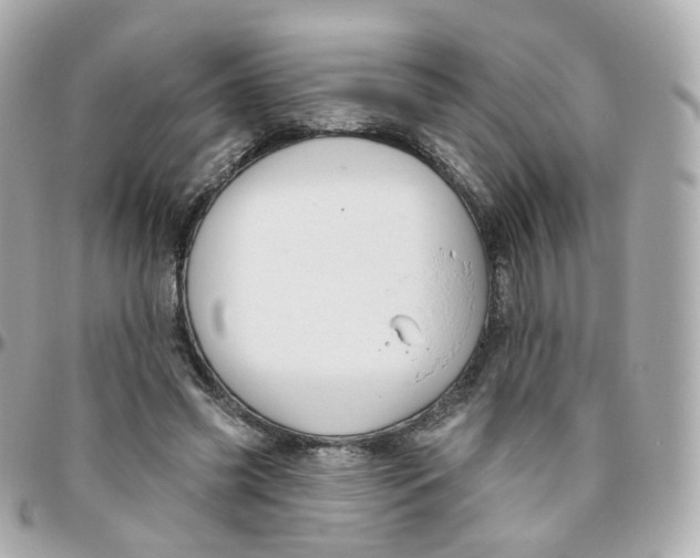 X0000095900541200802011130