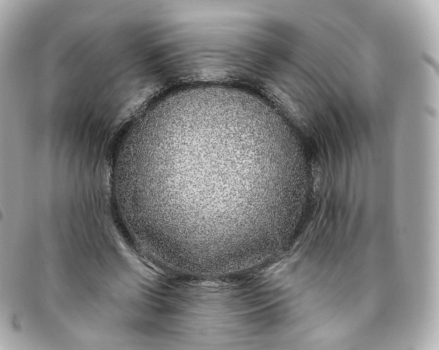 X0000095900542200802011130