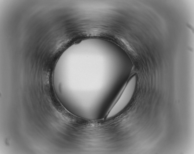 X0000095900543200802011130