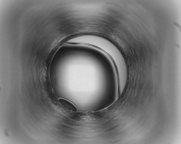 X0000095900544200802011130