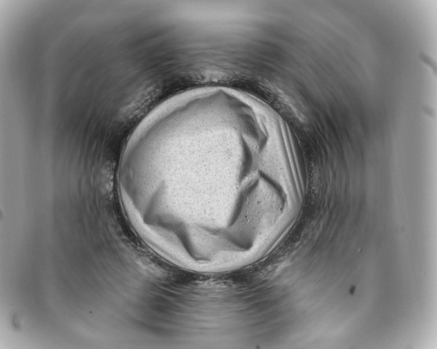 X0000095900545200802011130