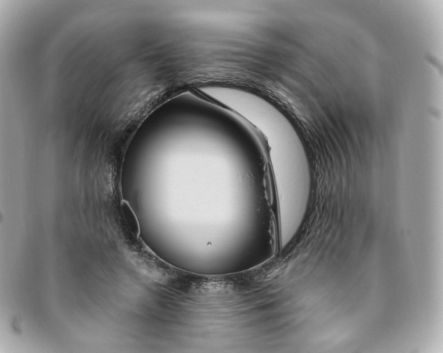 X0000095900546200802011130