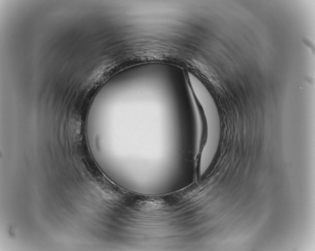 X0000095900548200802011130