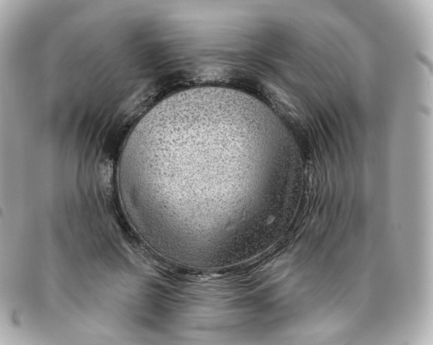 X0000095900550200802011130