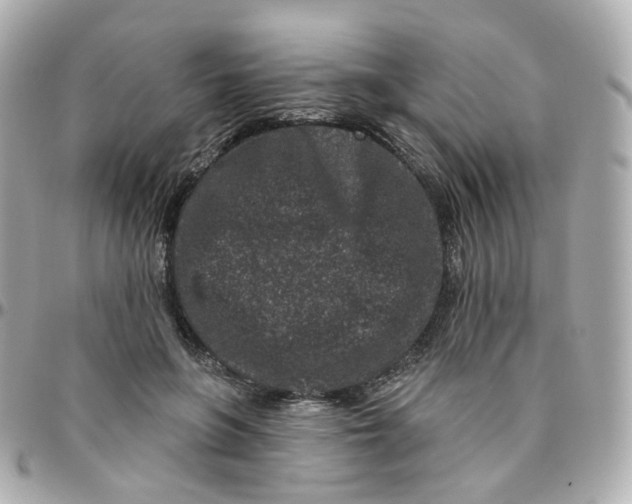 X0000095900551200802011130