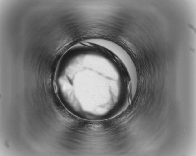 X0000095900552200802011130