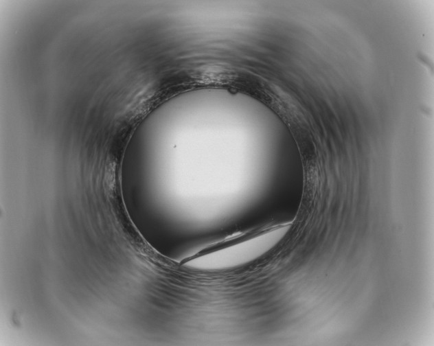 X0000095900554200802011130