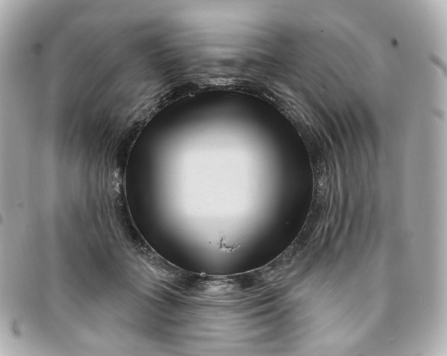 X0000095900555200802011130