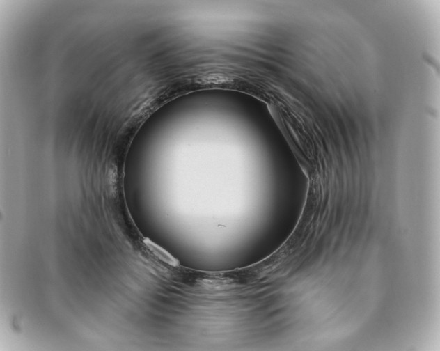 X0000095900556200802011130