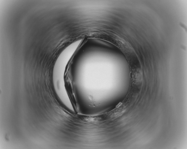 X0000095900558200802011131