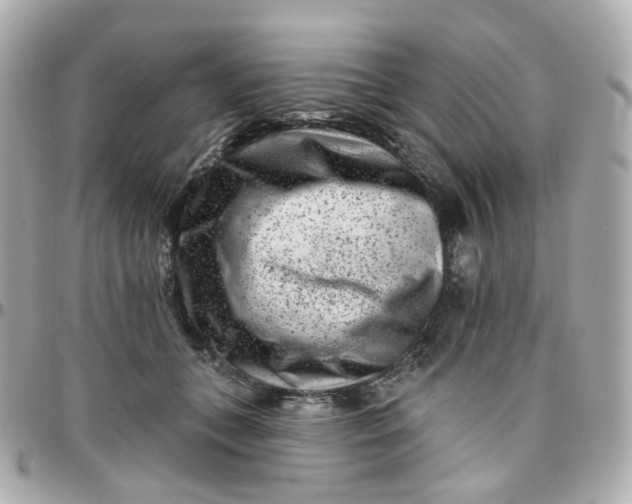 X0000095900559200802011131