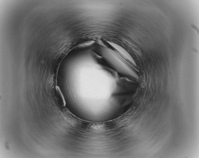 X0000095900560200802011131