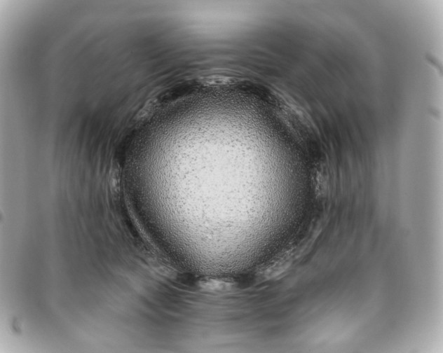 X0000095900561200802011131