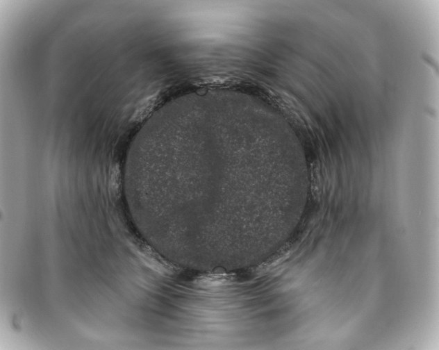 X0000095900563200802011131