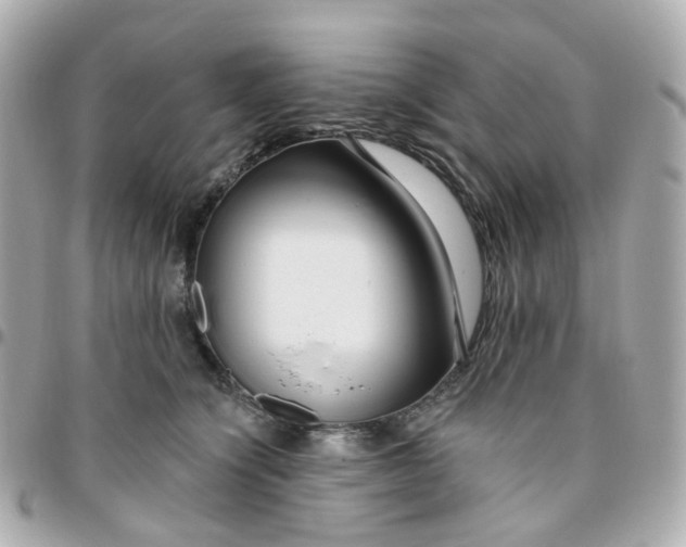 X0000095900564200802011131