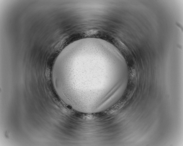 X0000095900565200802011131