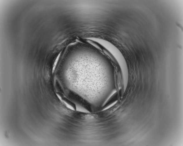 X0000095900566200802011131