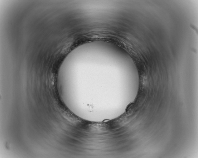 X0000095900567200802011131