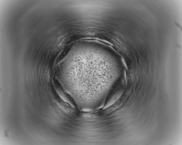 X0000095900568200802011131