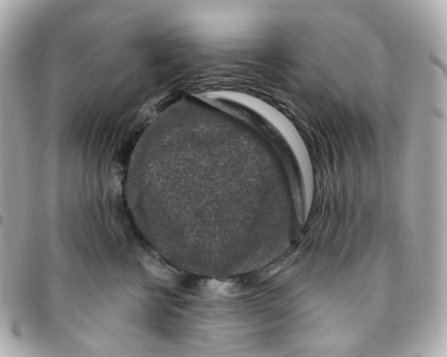 X0000095900570200802011131